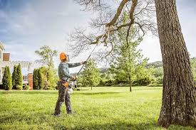 Best Tree Disease Treatment  in Huntington Beach, CA